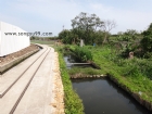 崧淯工程　生態水道
