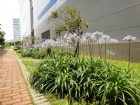 崧淯工程　case B 科學園區-5