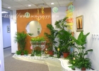 崧淯工程　科學園區-室內造景