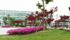 崧淯工程　大陸廠區-3