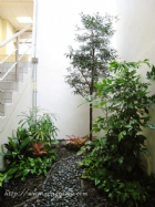 崧淯工程　科學園區-室內造景